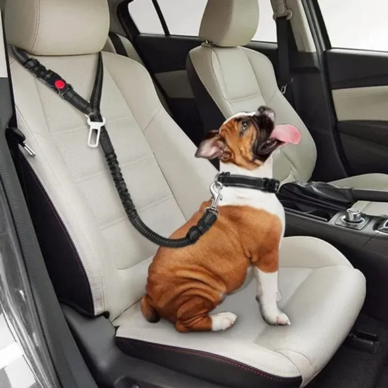Adjustable Car Seatbelt for Pets