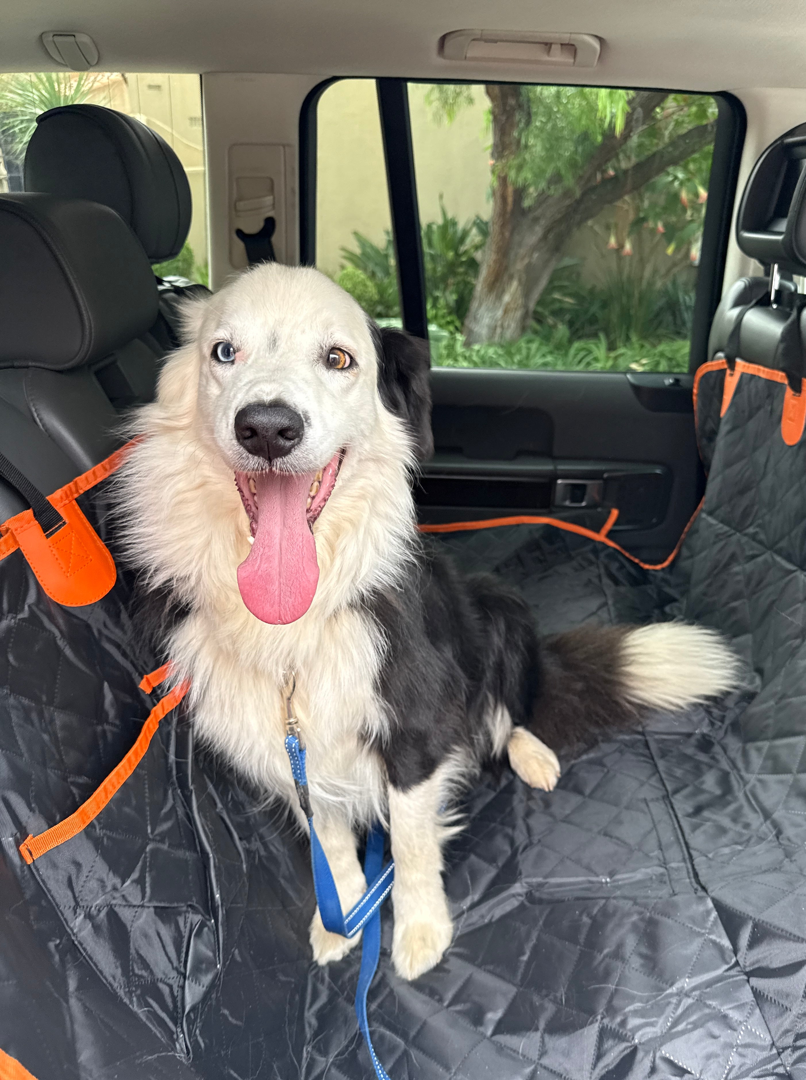 Luxury Waterproof Dog Car Seat Cover (Full Backseat Protection)